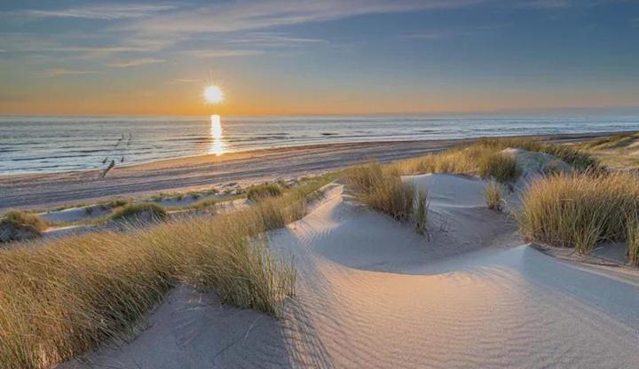 Bondi Beach Renesse Exteriör bild