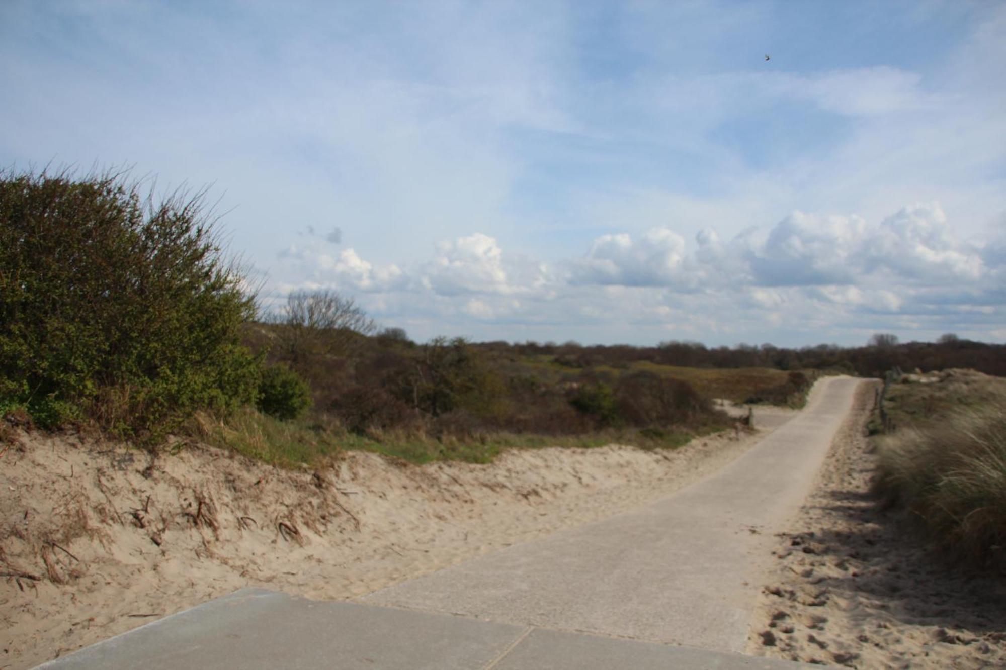 Bondi Beach Renesse Exteriör bild